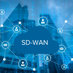 NSE 3000 dla sieci SD-WAN