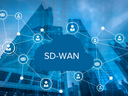 NSE 3000 dla sieci SD-WAN