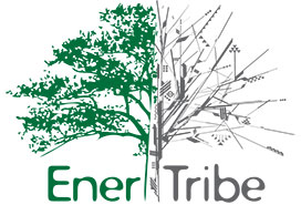 EnerTribe, Inc. logo